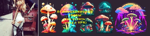 дмт Заволжье