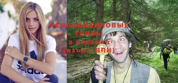 трава Заводоуковск