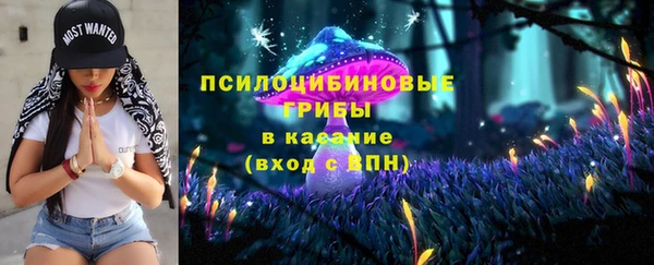 трава Заводоуковск