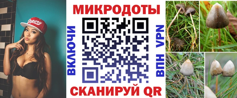 Купить закладки  Камешково  Галлюциногенные грибы GOLDEN TEACHER 